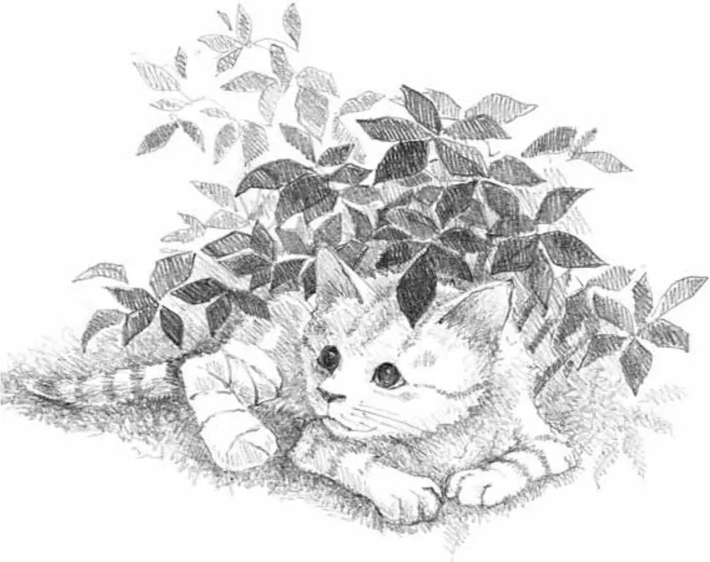 Caramel could hear Helena calling him and his ears pricked forward hopefully - фото 55