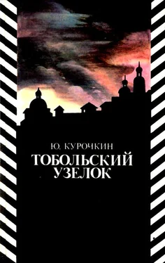 Юрий Курочкин Тобольский узелок обложка книги