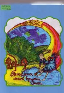 Тамара Черемнова Приключения лесной ведьмочки Шиши [сказочная повесть] обложка книги