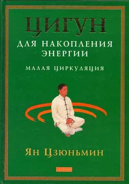 Ян Цзюньмин Цигун для накопления энергии. Малая Циркуляция обложка книги