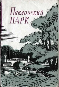 Анна Зеленова Павловский парк обложка книги