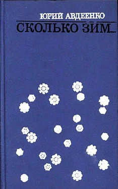 Юрий Авдеенко Сколько зим… обложка книги