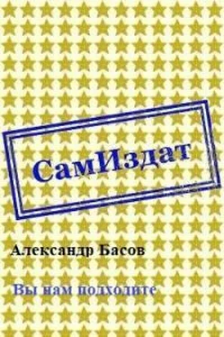 Александр Басов Вы нам подходите [СИ] обложка книги