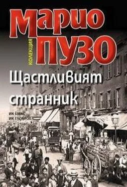 Марио Пьюзо Щастливият странник обложка книги