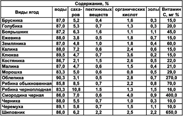 7 Несъедобные и ядовитые плоды и ягоды Много съедобных вкусных полезных - фото 142