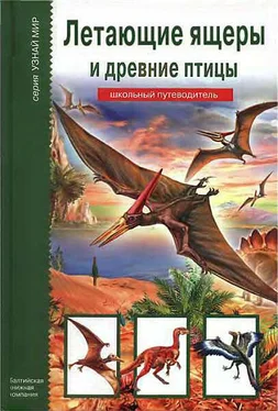 Юлия Дунаева Летающие ящеры и древние птицы обложка книги