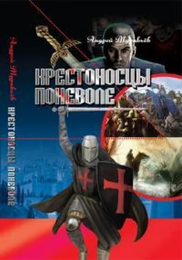 Андрей Муравьев Крестоносцы поневоле обложка книги