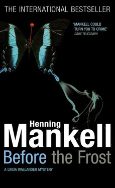 Хеннинг Манкелль Before the Frost обложка книги