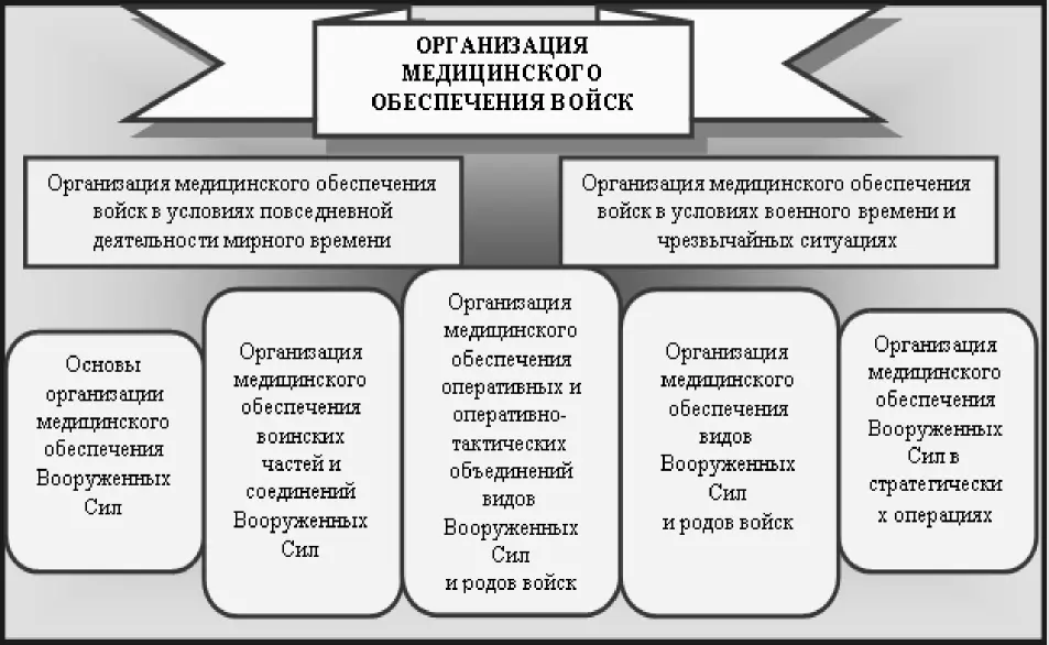 Рис2 Направления изучения и разделы научной дисциплины Организация - фото 2
