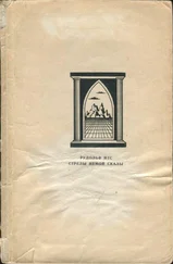 Рудольф Итс - Стрелы Немой скалы
