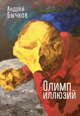 Андрей Бычков Олимп иллюзий обложка книги