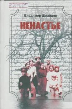 Владимир Шнайдер Ненастье обложка книги