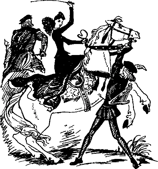 Назад Кон Сеньорита закричал Шон я хочу только увести вас от стычки - фото 14