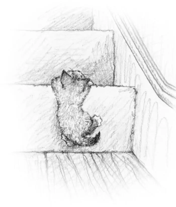 She wasnt there The room was empty Smudge crept under Olivias bed He - фото 17