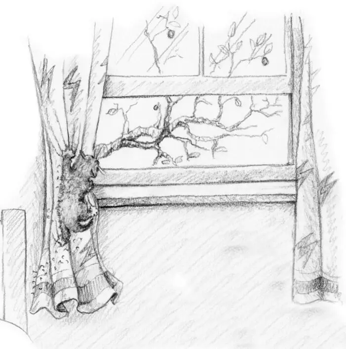 He peered out of the open window his nose twitching trying to see where to go - фото 33