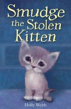 Холли Вебб Smudge Тhe Stolen Kitten обложка книги