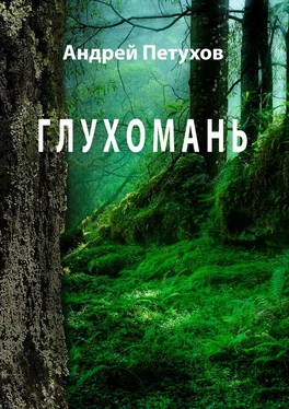 Андрей Петухов Глухомань обложка книги