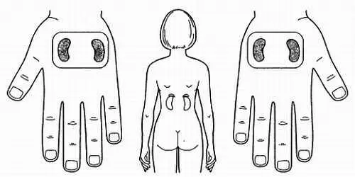 Рис 133 Применение семян фасоли при заболеваниях почек Очень действенным - фото 126