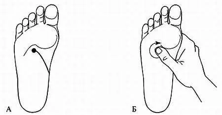 Рис 134 Точка на стопе улучшающая работу почек А расположение точки - фото 127