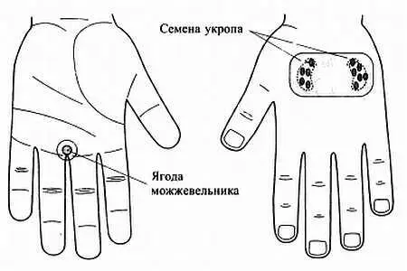 Рис 139 Семянотерапия при импотенции Ежедневно меняйте семена на свежие - фото 132