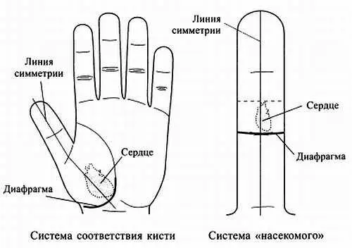 Рис 96 Зоны соответствия сердцу Какможно самостоятельно помочь себе при - фото 90