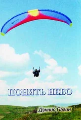 Дэннис Пегин - Понять небо