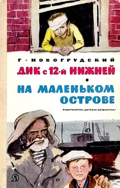 Герцель Новогрудский Дик с 12-й Нижней. На маленьком острове обложка книги