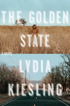 Lydia Kiesling The Golden State обложка книги