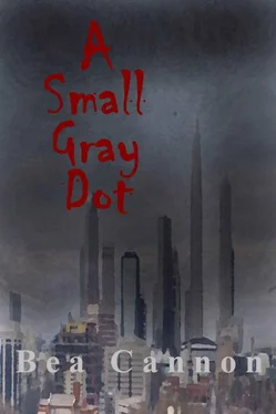 Bea Cannon A Small Gray Dot обложка книги