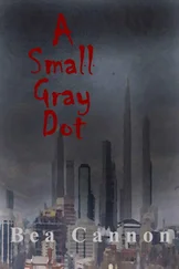 Bea Cannon - A Small Gray Dot