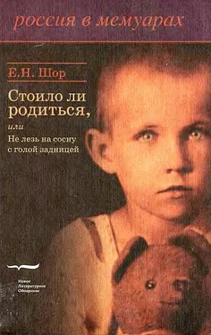 Евгения Шор Стоило ли родиться, или Не лезь на сосну с голой задницей обложка книги