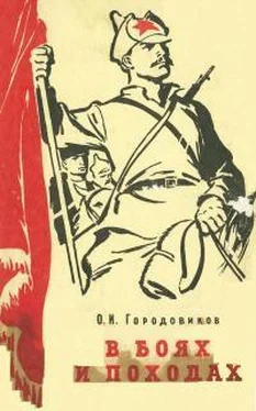 Ока Городовиков В боях и походах (воспоминания) обложка книги