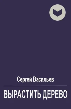 Сергей Васильев Вырастить дерево [СИ] обложка книги