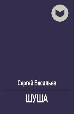 Сергей Васильев Шуша [СИ] обложка книги