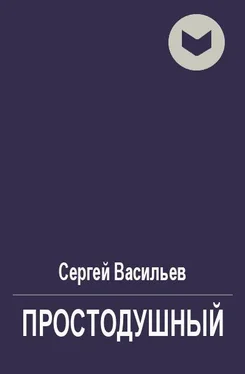 Сергей Васильев Простодушный [СИ] обложка книги