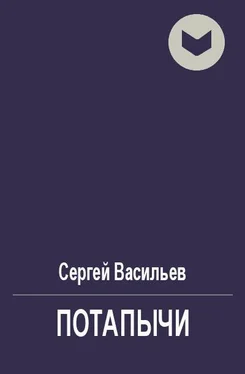 Сергей Васильев Потапычи [СИ] обложка книги