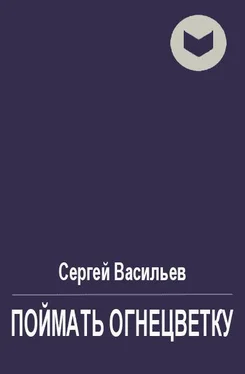 Сергей Васильев Поймать огнецветку [СИ] обложка книги