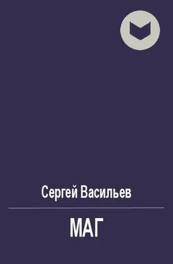 Сергей Васильев Маг [СИ] обложка книги