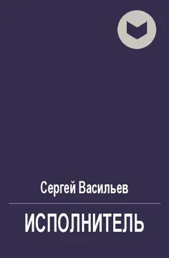 Сергей Васильев Исполнитель [СИ] обложка книги