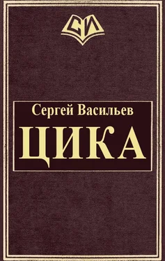 Сергей Васильев Цика [СИ] обложка книги