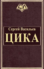 Сергей Васильев - Цика [СИ]