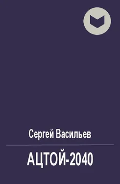 Сергей Васильев Ацтой-2040 [СИ] обложка книги