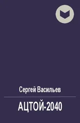Сергей Васильев - Ацтой-2040 [СИ]