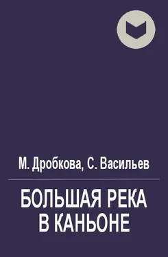 Сергей Васильев Большая река в каньоне [СИ] обложка книги