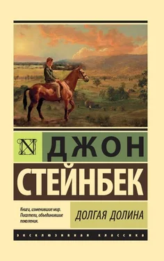 Джон Стейнбек Долгая долина обложка книги