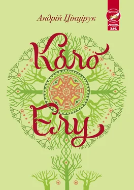Андрій Цінцірук Коло Елу обложка книги