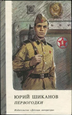 Юрий Шиканов Первогодки обложка книги