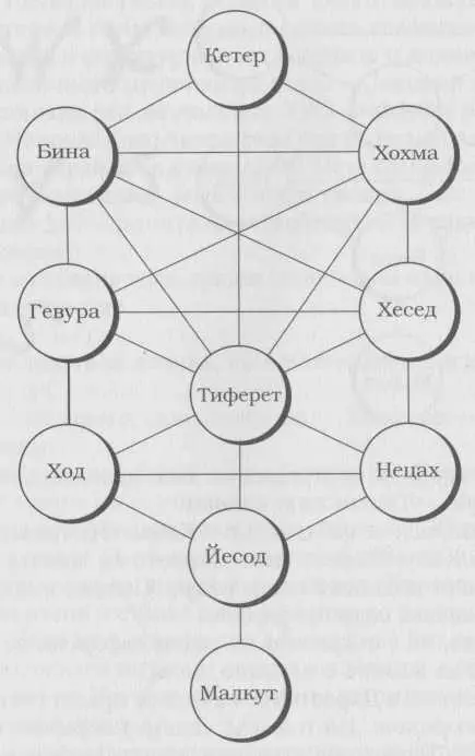 Има десет кръга забеляза Томаш Да това са десетте сефирот Дървото на - фото 13