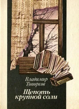 Владимир Топорков Щепоть крупной соли (сборник) обложка книги