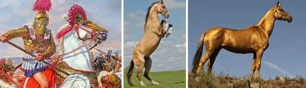 Хренеете с нашего громадья планов Так мы ж и сами с себя хренеем гыгы Вот - фото 7